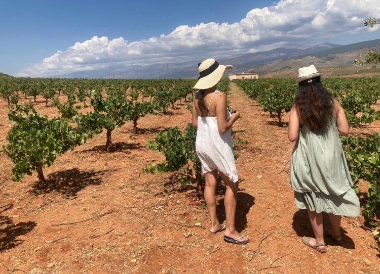 Fluyes y Cortijo El Cura: Innovación y Bienestar en Entornos Rurales